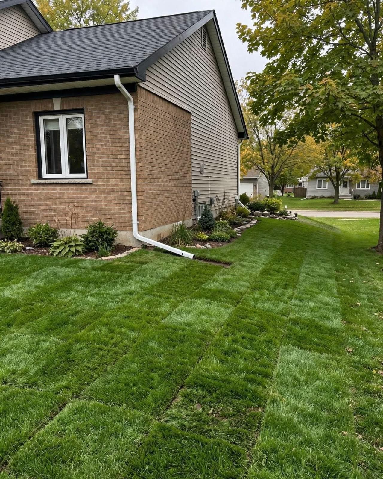 Freshly laid sod along the side of a brick house after excavation